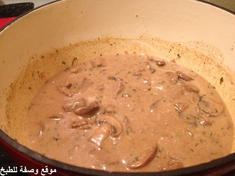 وصفة بيف ستروجانوف على الطريقة الروسية - beef stroganoff مكتوبة من المطبخ الروسي بالصور